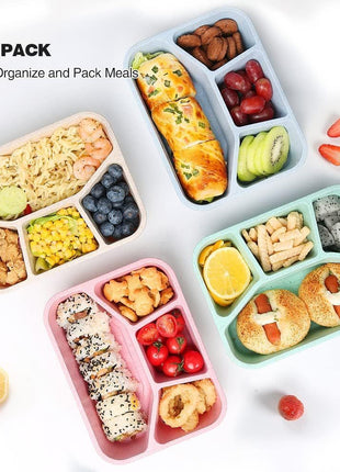 Simple Rectangular Compartment Lunch Boxes Fruit Container