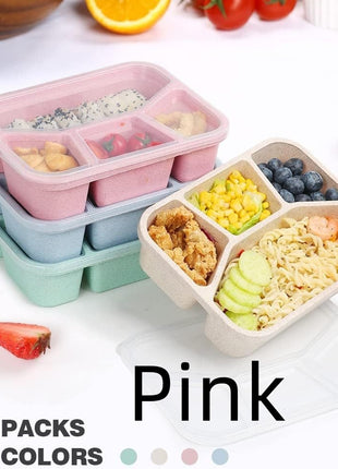 Simple Rectangular Compartment Lunch Boxes Fruit Container