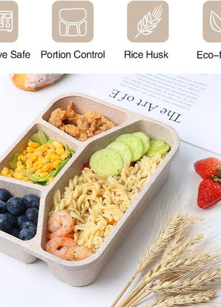 Simple Rectangular Compartment Lunch Boxes Fruit Container