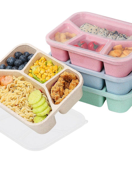 Simple Rectangular Compartment Lunch Boxes Fruit Container