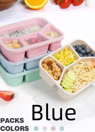Simple Rectangular Compartment Lunch Boxes Fruit Container