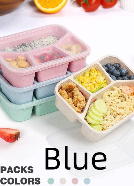 Simple Rectangular Compartment Lunch Boxes Fruit Container